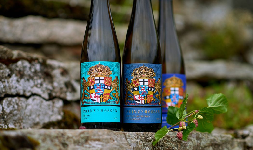 Familie von Hessen fur die hess. Hausstiftung (9).jpg