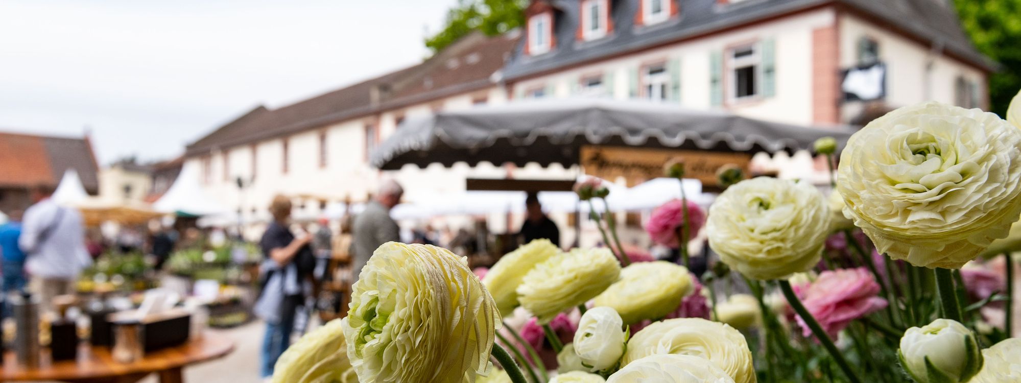 GartenfestKR22-Impressionen-Strohfeldt (9).jpg