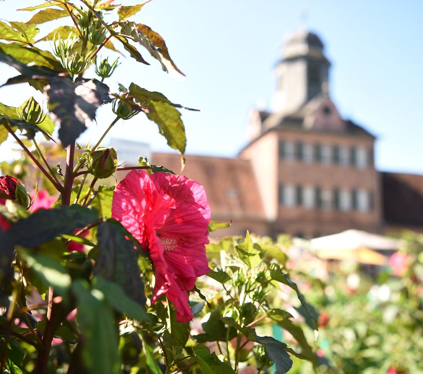 Frstliches Gartenfest